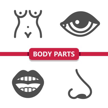 Vücut Parçaları Simgeleri. Sağlık hizmetleri, sağlık hizmetleri, tıbbi vektör simgesi