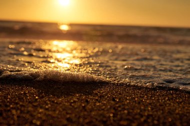 Sahilde küçük bir dalga.