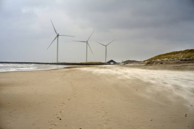 Aslan heykeli eski kasabanın şehrinde geceleyin