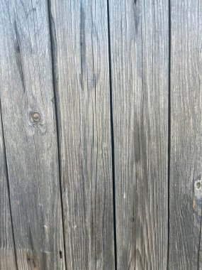 Dik gri tahta levhalar yan yana.