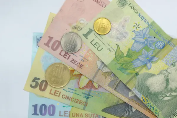 Romanya Para Birimi Banknotları Sikkeleri Yakın Plan Leu 100 Lei — Stok fotoğraf