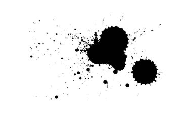 siyah mürekkep fırçası damla sıçrama beyaz arkaplan üzerinde sanatsal grunge grafik element