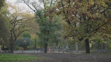 Central Park Sonbahar Yeşilliği - İnsanlar Yürüyor, Bisiklet Sürüyor ve Koşuyor Sabah Manhattan, New York City, ABD