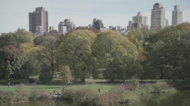 Central Park Sonbahar Yeşilliği - İnsanlar Yürüyor, Bisiklet Sürüyor ve Koşuyor Sabah Manhattan, New York City, ABD