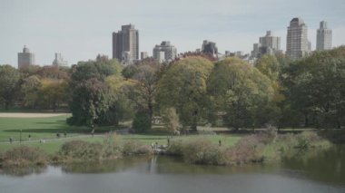 Central Park Sonbahar Yeşilliği - İnsanlar Yürüyor, Bisiklet Sürüyor ve Koşuyor Sabah Manhattan, New York City, ABD