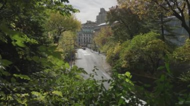 Central Park - The Street Manhattan, New York City, ABD