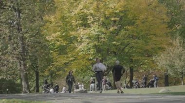 Central Park Sonbahar Yeşilliği - İnsanlar Yürüyor, Bisiklet Sürüyor ve Koşuyor Sabah Manhattan, New York City, ABD