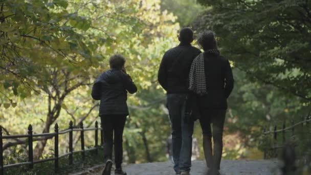 Central Park Fall Foliage People Walking Biking Jogging Morning Manhattan – stockvideo