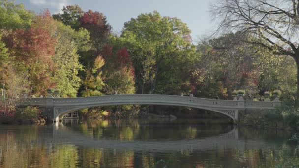 Bow Bridge Central Park Fall Foliage Manhattan New York City — Stockvideo