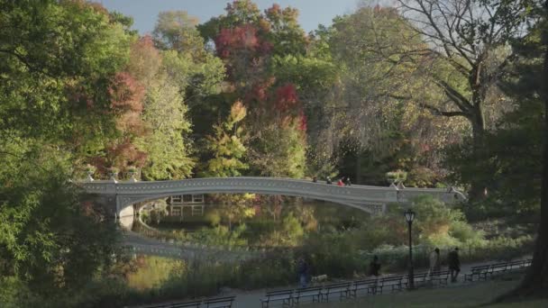 Bow Bridge Central Park Hösten Foliage Manhattan New York City — Stockvideo
