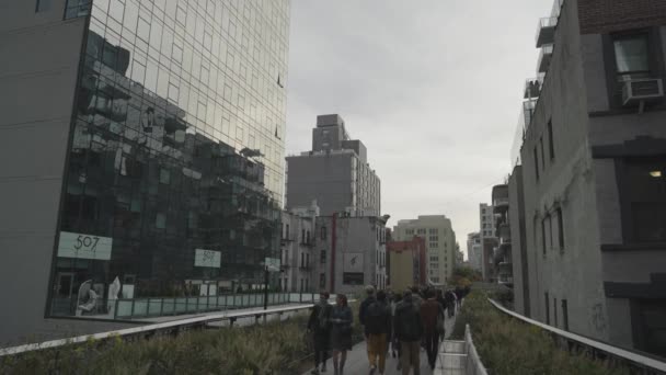 High Line Popular Park Street Level Old Rail Line River — Stock Video