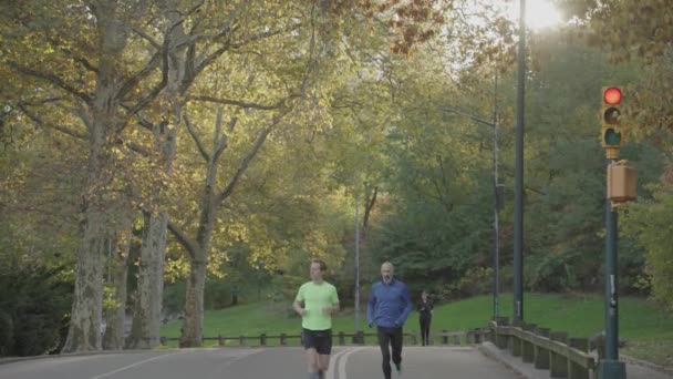 Central Park Fall Foliage Mensen Die Wandelen Fietsen Joggen Ochtend — Stockvideo