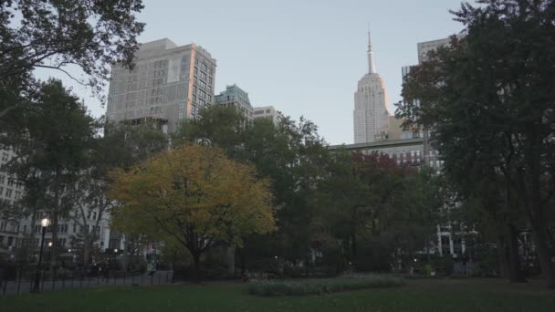 Empire Sate Building Madison Park Fall Manhattan New York City — Video