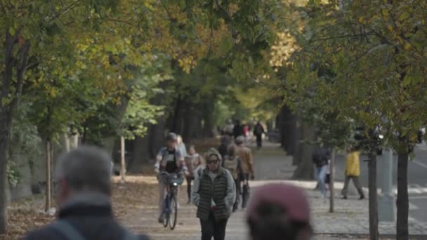 Central Park Fall Foliage People Walking Biking Jogging Morning Manhattan — Stockvideo