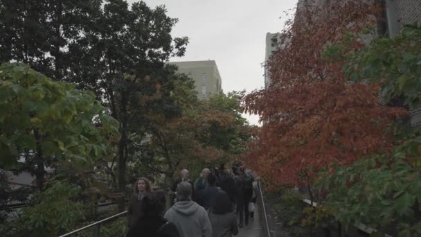 High Line Populair Park Boven Straatniveau Een Oude Spoorlijn Met — Stockvideo