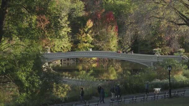 Bow Bridge Central Park Fall Foliage Manhattan New York Amerikai — Stock videók
