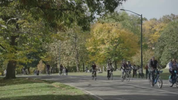 Central Park Fall Foliage People Walking Biking Jogging Morning Manhattan — Stockvideo