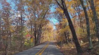 Güzel Sonbahar Sonbaharı 'nda Yolda Sürülen Ağaçlar Arkansas Manzarası' ndan Kalkıyor