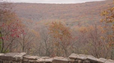 Devil 's Den Eyalet Parkı CCC Manzarası Sonbahar Yeşilliği Renkleri Arkansas ABD