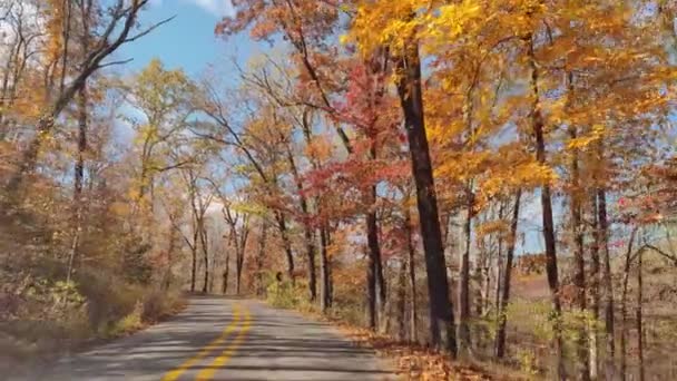 Rijden Weg Tijdens Mooie Piek Herfst Herfst Gebladerte Levendige Kleuren — Stockvideo