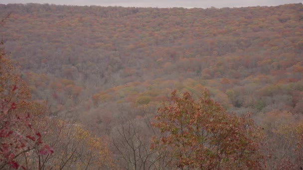 Devil Den State Park Ccc Scenic Overlook Herbst Laub Lebendige — Stockvideo