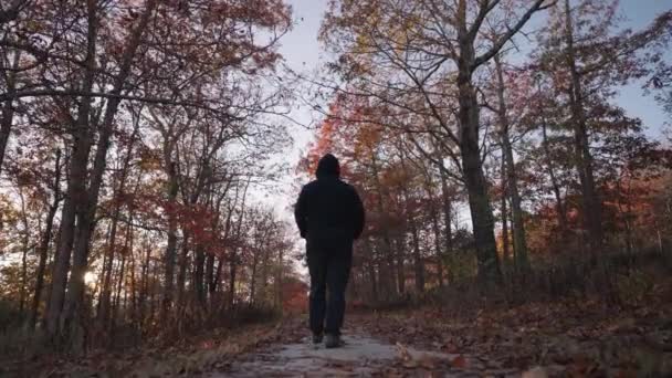 Hombre Irreconocible Con Chaqueta Negra Caminando Otoño Otoño Follaje Árbol — Vídeo de stock