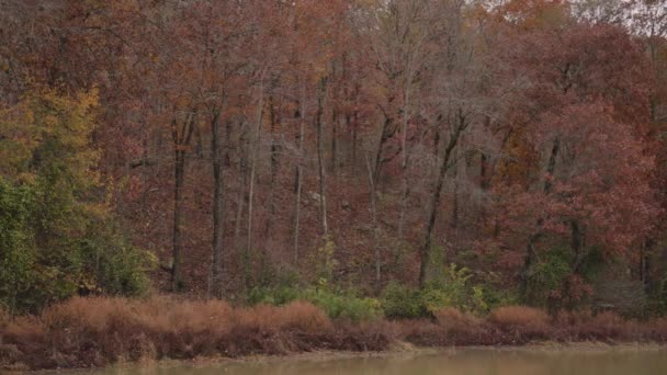 Каскадные Водопады Речное Озеро Девилз Стейт Парк Время Осеннего Ливня — стоковое видео