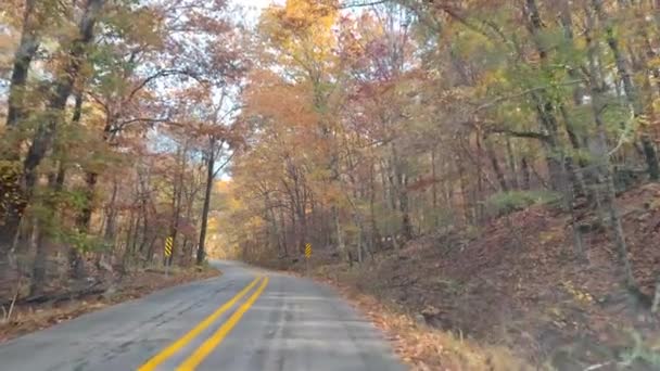 Autofahren Auf Der Straße Während Des Schönen Peak Autumn Herbst — Stockvideo