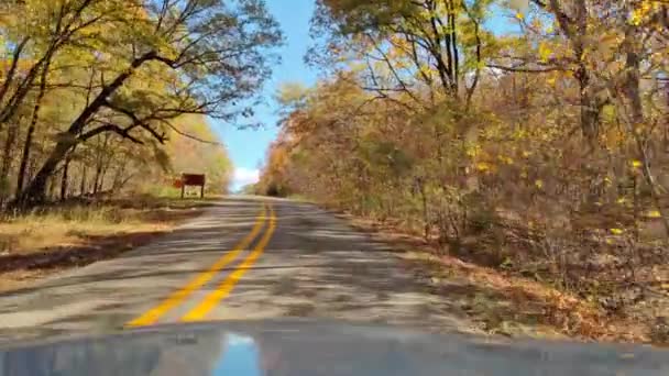 달리는 운전중아름다운 안개가 자욱하게 나무들은 아칸소의 풍경을 보여준다 — 비디오