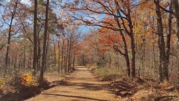 Подорож Дорозі Під Час Прекрасної Осінньої Плісняви Листяні Дерева Листять — стокове відео