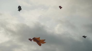 Balili Geleneksel Uçurtmalar JANGGAN ve BEBEAN Bali Uçurtma Festivali Yaz Yavaş Hareketi