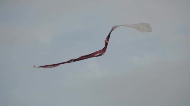 Balili Geleneksel Uçurtmalar JANGGAN ve BEBEAN Bali Uçurtma Festivali Yaz Yavaş Hareketi