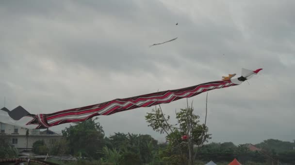 Tradycyjne Latawce Balijskie Janggan Bebean Bali Kite Festival Summer Sky — Wideo stockowe