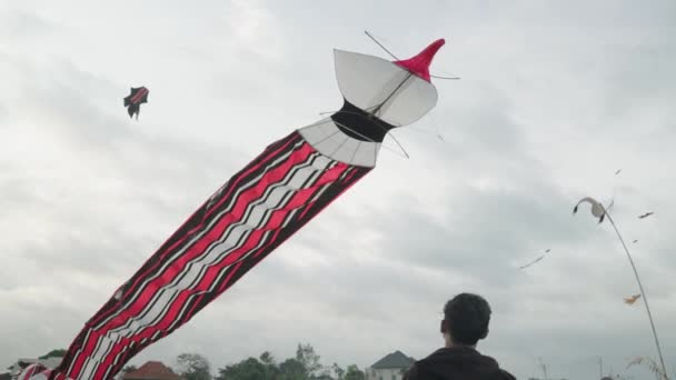Cerfs Volants Traditionnels Balinais Janggan Bean Bali Kite Festival Summer — Video