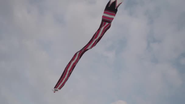 Balinese Traditional Kites Janggan Bebean Bali Kite Festival Summer Sky — Stock Video