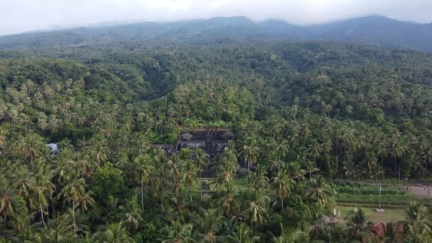 Воздушное Путешествие Бали Лес Гора Пура Пусе Лес Пенуа Булеленг — стоковое видео