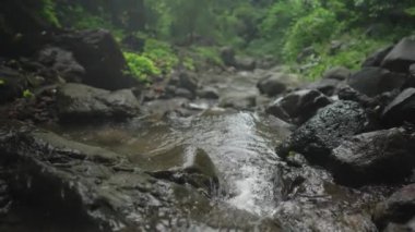 Les Waterfall (Yeh Mempeh veya Uçan Şelaleler) Tejakula Köyü, Buleleng, Bali - Yağmur Ormanıyla çevrili Gözlerden ırak Şelale, Yeşil Tropikal Bitkilerle çevrili Kayalıklar