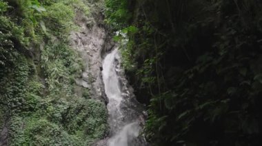 Les Waterfall (Yeh Mempeh veya Uçan Şelaleler) Tejakula Köyü, Buleleng, Bali - Yağmur Ormanıyla çevrili Gözlerden ırak Şelale, Yeşil Tropikal Bitkilerle çevrili Kayalıklar