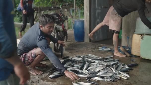 Pescador Tradicional Captura Peixes Frescos Oceano Bali Indonésia — Vídeo de Stock