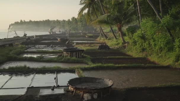 Processo Tradicional Fabricação Sal Costa Marítima Praia Bali Indonésia — Vídeo de Stock