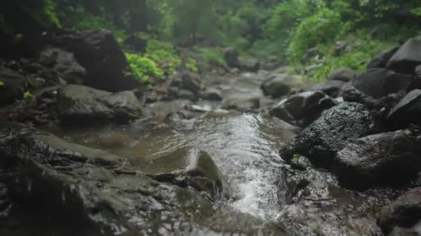 Les Waterfall Yeh Mempeh Eller Flying Waterfalls Tejakula Village Buleleng — Stockvideo