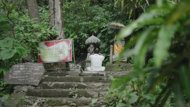 Balili Adam Yeşil Orman Bali Endonezya Ile Çevrili Tapınakta Dua — Stok video