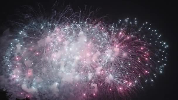 Fireworks Slow Mion Красочный Фейерверк Новый Год Рождество Июля Фестиваль — стоковое видео