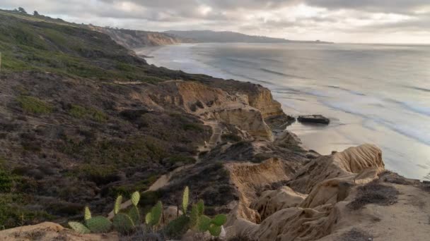 Time Lapse Torrey Pines State Natural Reserve Beach Una Isla — Vídeo de stock
