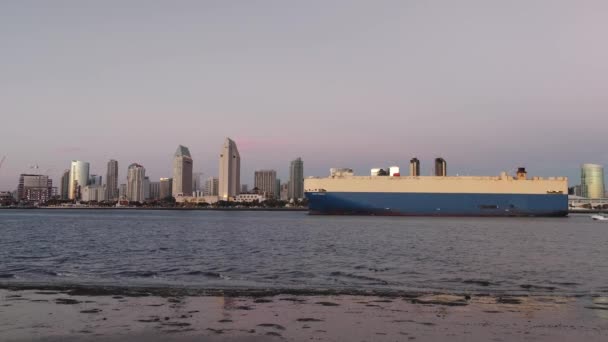 Grand Foenix Vozidla Dopravce Velká Nákladní Kontejnerová Loď Nákladní Loď — Stock video