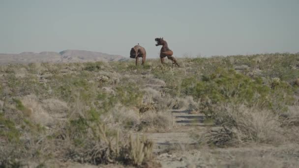 美国加利福尼亚州Borrego Springs Circa 2022 Galleta Meadows沙漠的世界著名天空艺术金属雕塑 — 图库视频影像