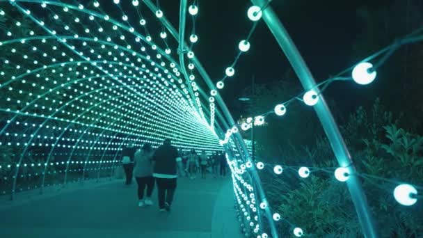Yılbaşı Için Işıklar Tüneli Tema Parkı Nda Yeni Yıl Kutlaması — Stok video