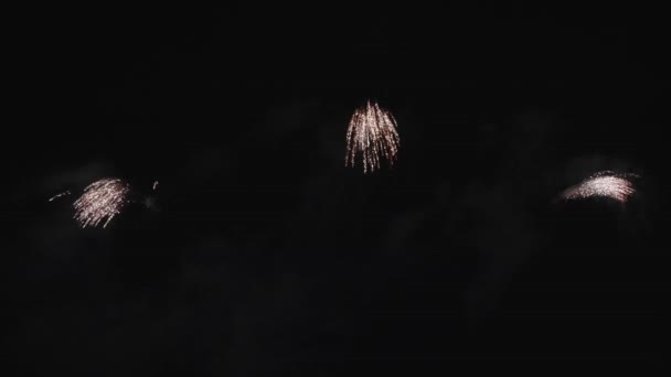 Fireworks Display Slow Motion Real Epic Vackra Färgglada Fyrverkerier För — Stockvideo