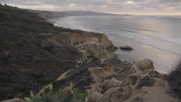 トーリー パインズ州立自然保護区ビーチ サンディエゴの都会の海に浮かぶ荒野の島 California — ストック動画