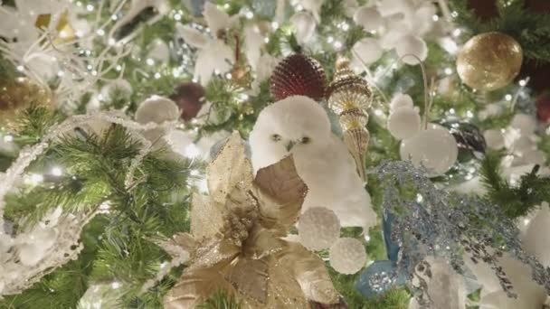 Piękna Iluminowana Ozdoba Choinki Kule Śnieżne Niebieskie Kwiaty Białe Sowy — Wideo stockowe